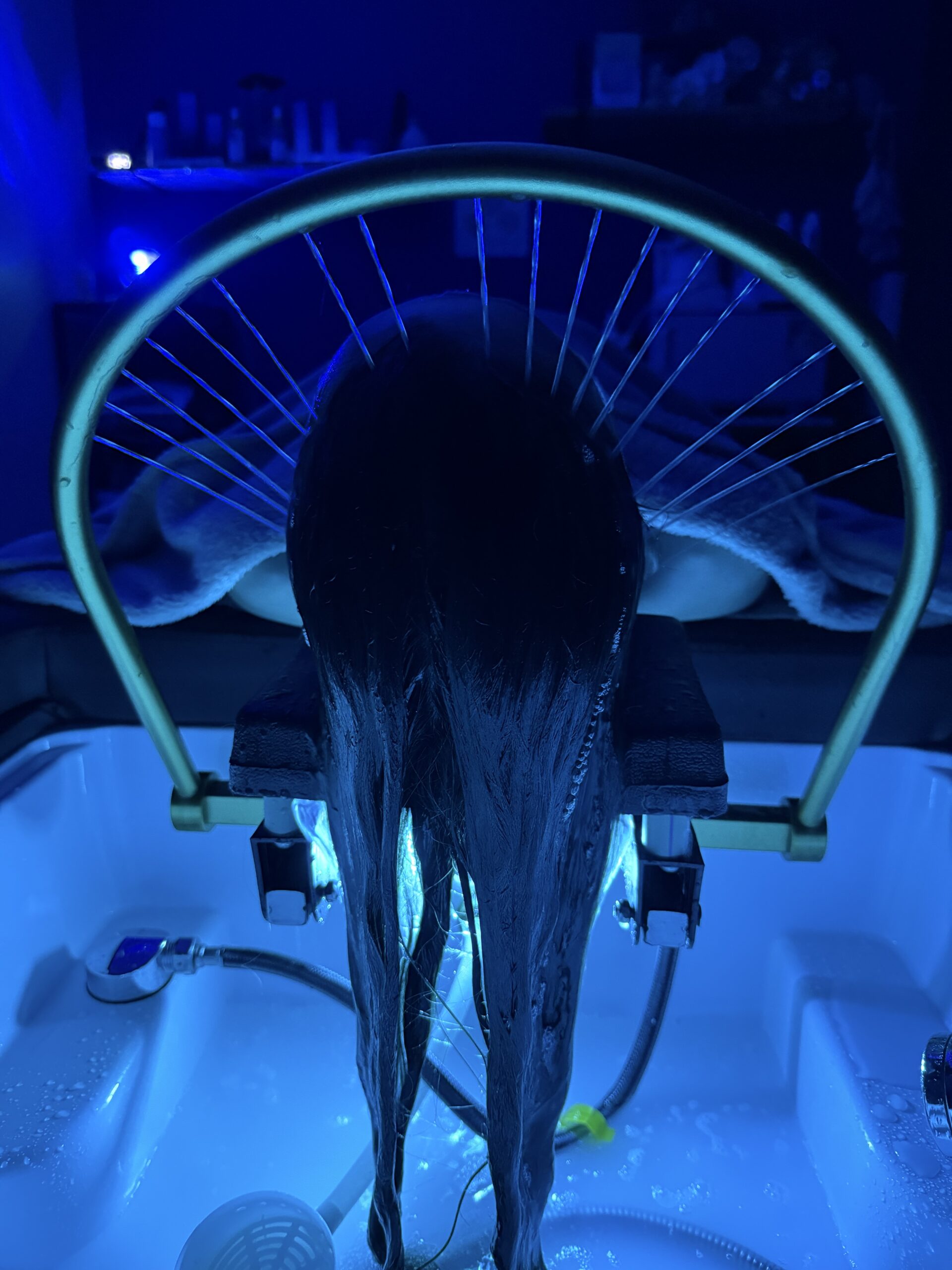 Epilation femmes et hommes